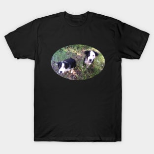 Sadie and Wyatt T-Shirt